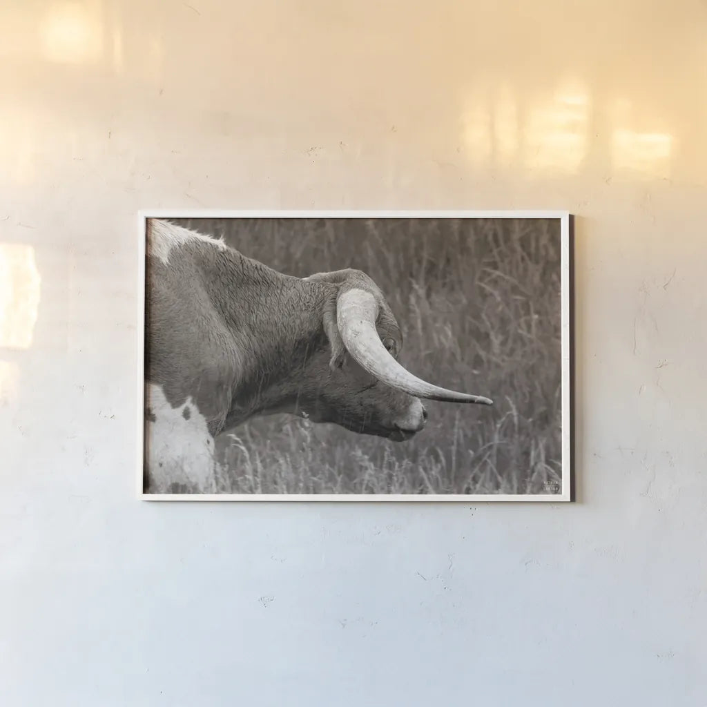 Raining Bull BW by Nathan Larson. shown as a paper print in a white frame. Available as a archival giclee rolled canvas, fine art paper, or poster print. SKU 99206i.