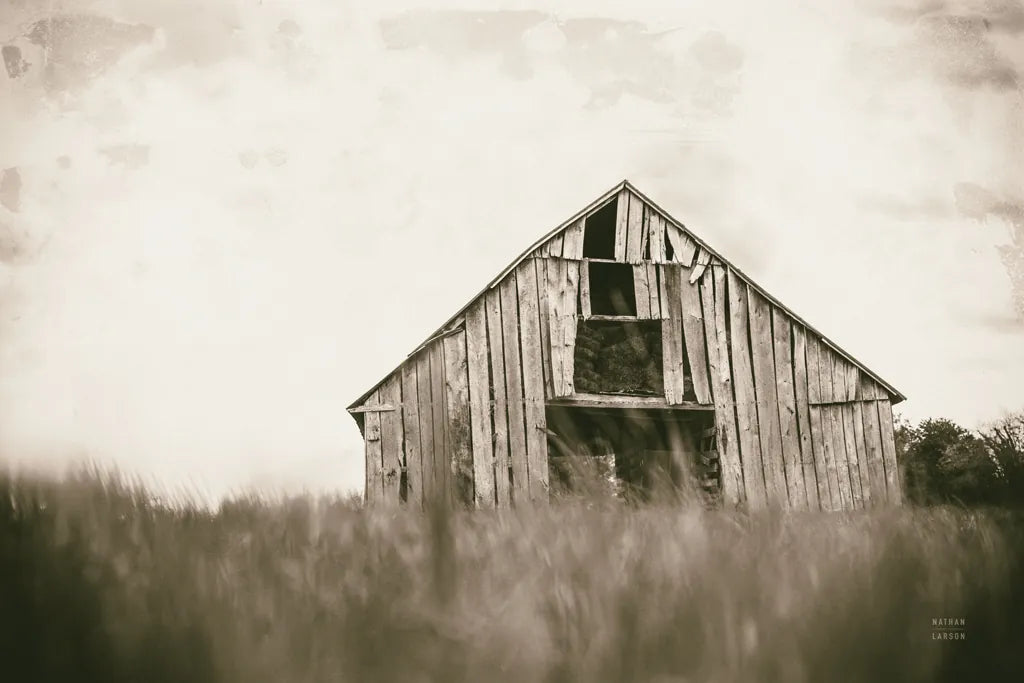 Rainy Barn Days by Nathan Larson. SKU 98025i. Archival Giclee Fine art print for wall decor.