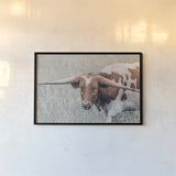Rainy Pasture I by Nathan Larson. shown as a paper print in a black flame. Available as a archival giclee rolled canvas, fine art paper, or poster print. SKU 99213i.