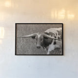 Rainy Pasture I BW by Nathan Larson. shown as a paper print in a black flame. Available as a archival giclee rolled canvas, fine art paper, or poster print. SKU 99212i.