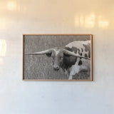 Rainy Pasture I BW by Nathan Larson. shown as a paper print in a natural frame. Available as a archival giclee rolled canvas, fine art paper, or poster print. SKU 99212i.