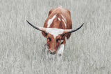 Rainy Pasture II by Nathan Larson. SKU 99210i. Archival Giclee Fine art print for wall decor.