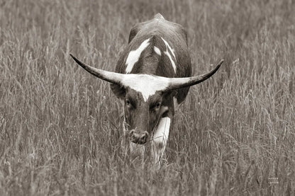 Rainy Pasture II BW by Nathan Larson. SKU 99211i. Archival Giclee Fine art print for wall decor.