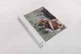 Rainy Pasture III by Nathan Larson. shown as a rolled paper print. Available as archival giclee rolled canvas, fine art paper, or poster print. SKU 99209i.