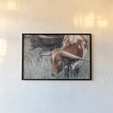 Rainy Pasture III by Nathan Larson. shown as a paper print in a black flame. Available as a archival giclee rolled canvas, fine art paper, or poster print. SKU 99209i.