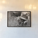 Rainy Pasture III BW by Nathan Larson. shown as a paper print in a black flame. Available as a archival giclee rolled canvas, fine art paper, or poster print. SKU 99208i.