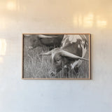 Rainy Pasture III BW by Nathan Larson. shown as a paper print in a natural frame. Available as a archival giclee rolled canvas, fine art paper, or poster print. SKU 99208i.