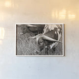 Rainy Pasture III BW by Nathan Larson. shown as a paper print in a white frame. Available as a archival giclee rolled canvas, fine art paper, or poster print. SKU 99208i.