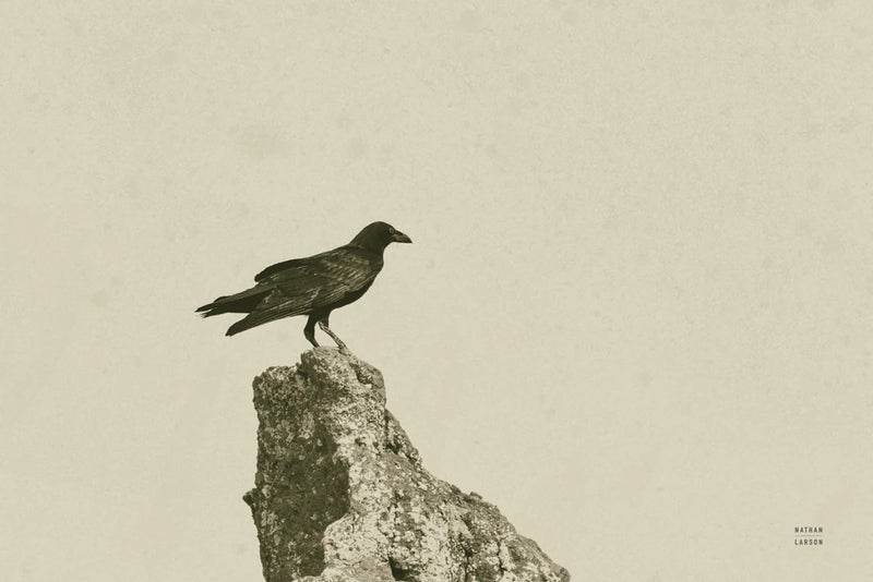 Raven Watch Sepia by Nathan Larson