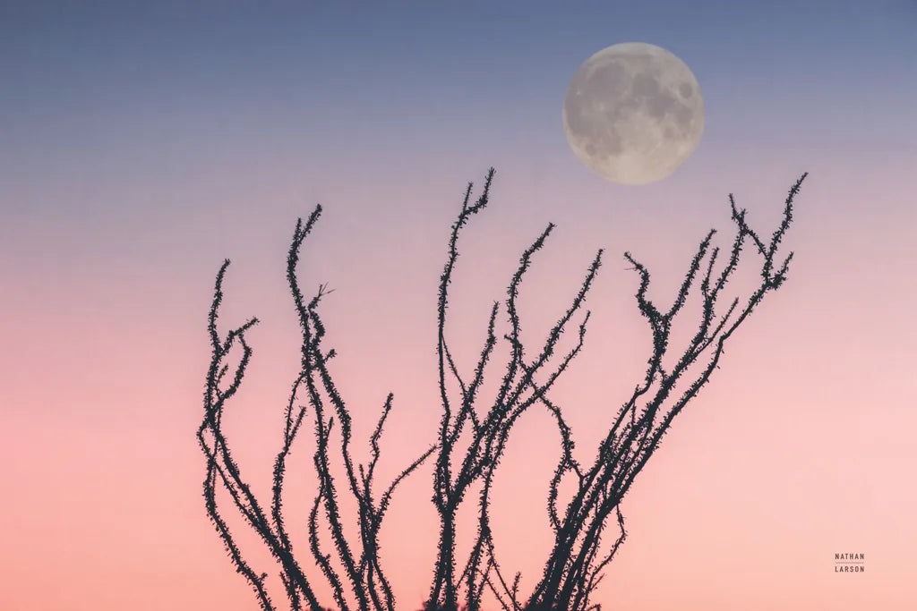 Reaching Up Moon by Nathan Larson. SKU 76442i. Archival Giclee Fine art print for wall decor.