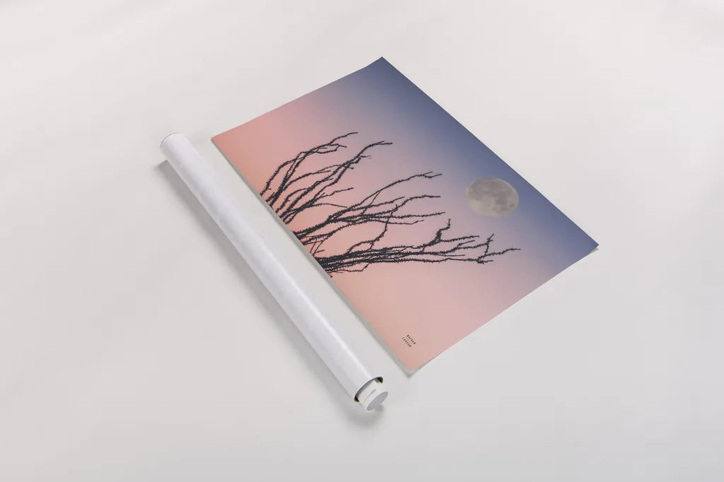 Reaching Up Moon by Nathan Larson. shown as a rolled paper print. Available as archival giclee rolled canvas, fine art paper, or poster print. SKU 76442i.