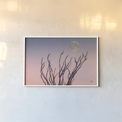 Reaching Up Moon by Nathan Larson. shown as a paper print in a white frame. Available as a archival giclee rolled canvas, fine art paper, or poster print. SKU 76442i.