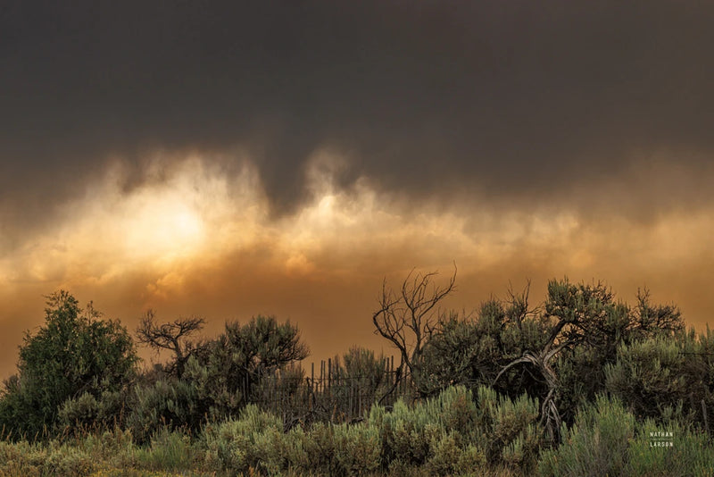 Rebirth I by Nathan Larson