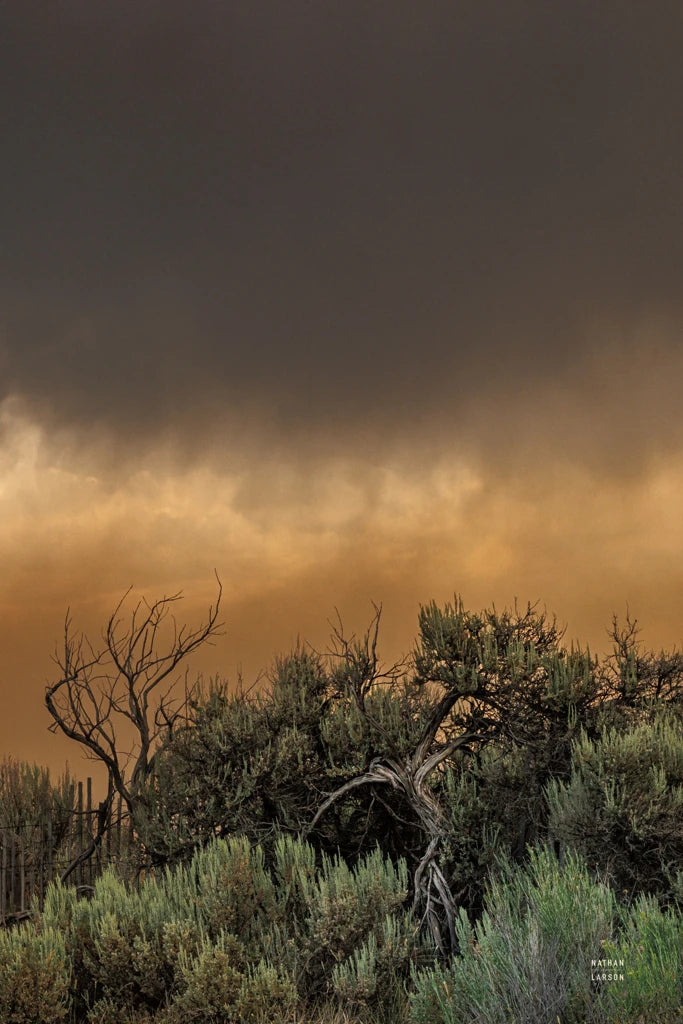 Rebirth II by Nathan Larson