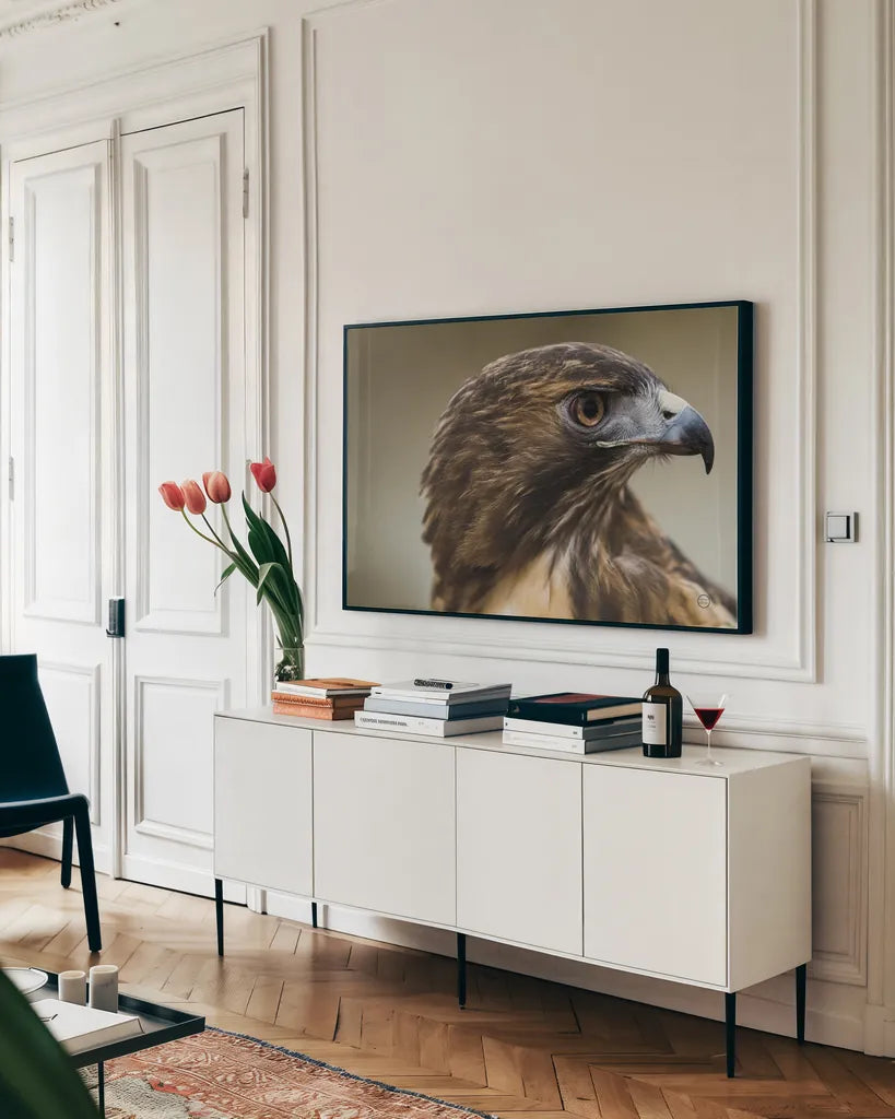 Red Tailed Hawk Profile by Nathan Larson. shown as a framed stretched canvas in a living room above a console. Available as a archival giclee rolled canvas, fine art paper, or poster print. SKU 71174i.