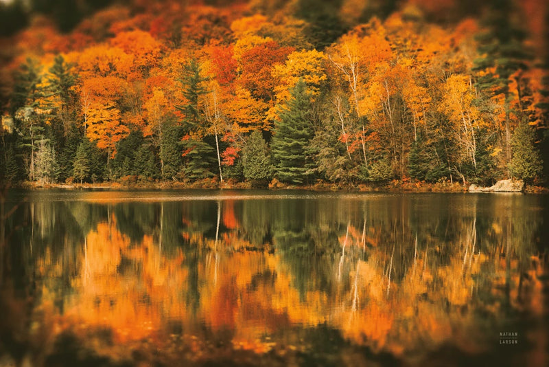 Reflections by Nathan Larson