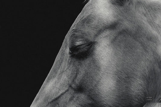 Rest by Nathan Larson. SKU 100502i. Archival Giclee Fine art print for wall decor.