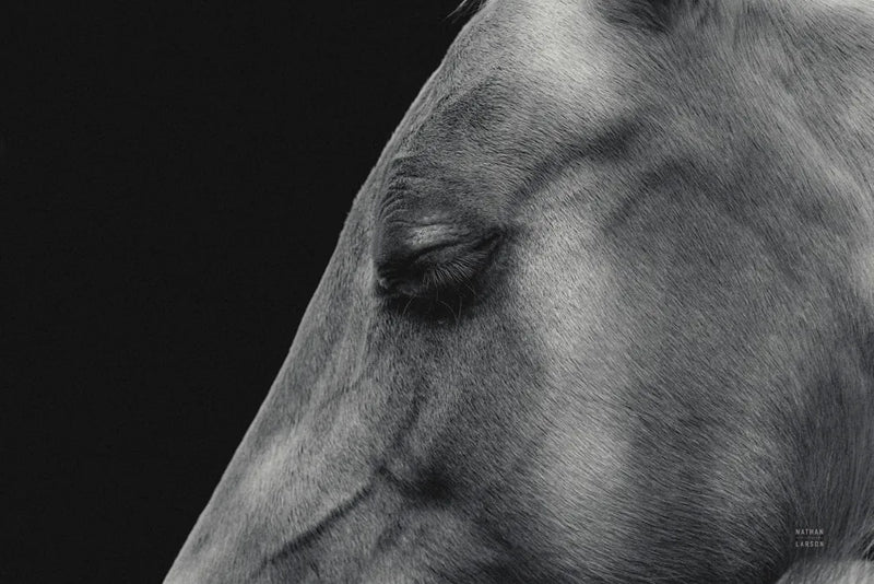 Rest by Nathan Larson. SKU 100502i. Archival Giclee Fine art print for wall decor.