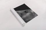 Rest by Nathan Larson. shown as a rolled paper print. Available as archival giclee rolled canvas, fine art paper, or poster print. SKU 100502i.