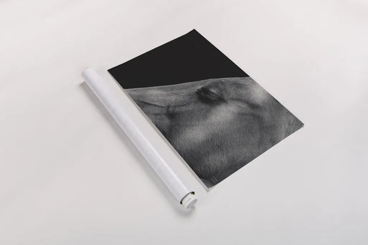 Rest by Nathan Larson. shown as a rolled paper print. Available as archival giclee rolled canvas, fine art paper, or poster print. SKU 100502i.