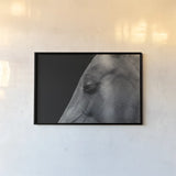 Rest by Nathan Larson. shown as a paper print in a black flame. Available as a archival giclee rolled canvas, fine art paper, or poster print. SKU 100502i.