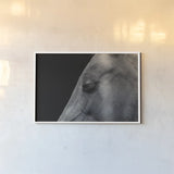 Rest by Nathan Larson. shown as a paper print in a white frame. Available as a archival giclee rolled canvas, fine art paper, or poster print. SKU 100502i.
