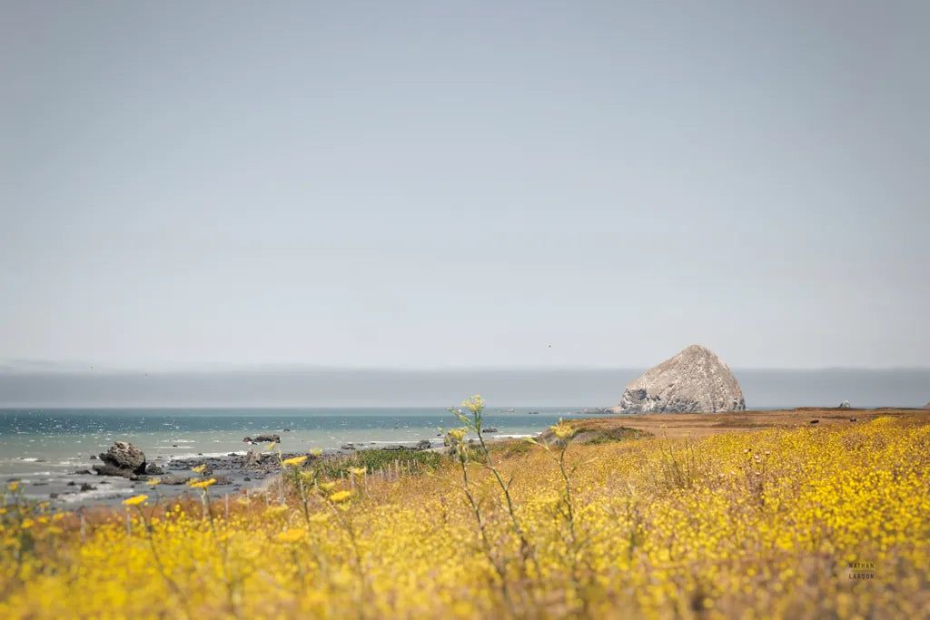 Rocky Coast Days by Nathan Larson. SKU 90175i. Archival Giclee Fine art print for wall decor.