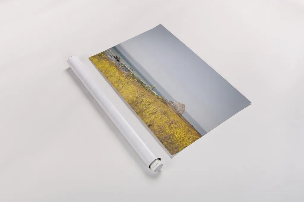 Rocky Coast Days by Nathan Larson. shown as a rolled paper print. Available as archival giclee rolled canvas, fine art paper, or poster print. SKU 90175i.