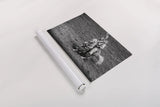 Rodeo I BW by Nathan Larson. shown as a rolled paper print. Available as archival giclee rolled canvas, fine art paper, or poster print. SKU 82721i.