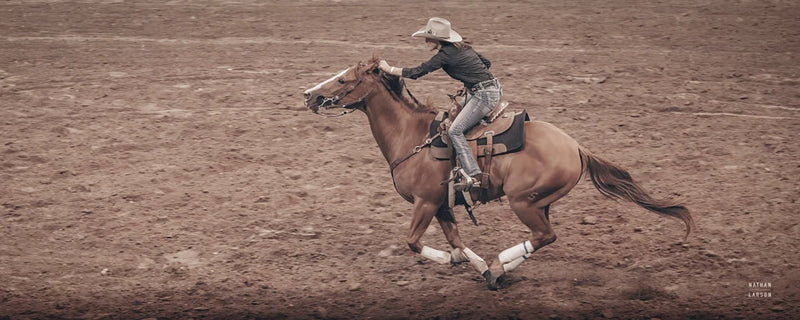Rodeo II by Nathan Larson
