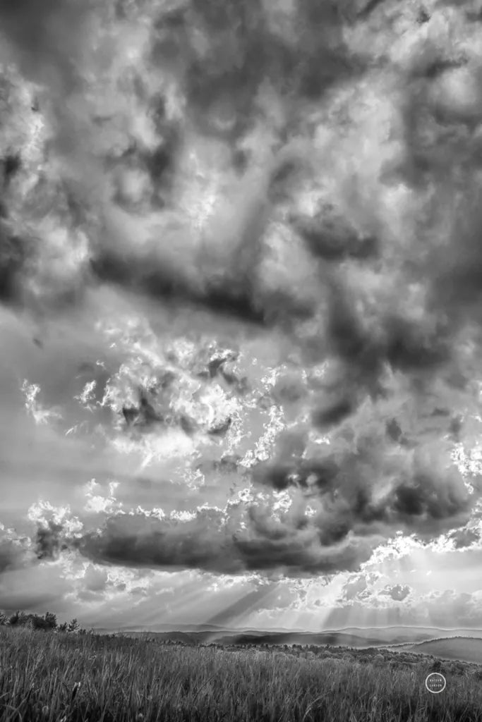 Rolling Pasture Rays by Nathan Larson. SKU 71166h. Archival Giclee Fine art print for wall decor.