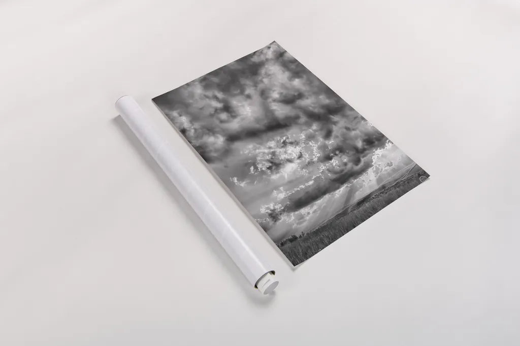 Rolling Pasture Rays by Nathan Larson. shown as a rolled paper print. Available as archival giclee rolled canvas, fine art paper, or poster print. SKU 71166h.