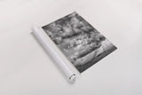Rolling Pasture Rays by Nathan Larson. shown as a rolled paper print. Available as archival giclee rolled canvas, fine art paper, or poster print. SKU 71166h.