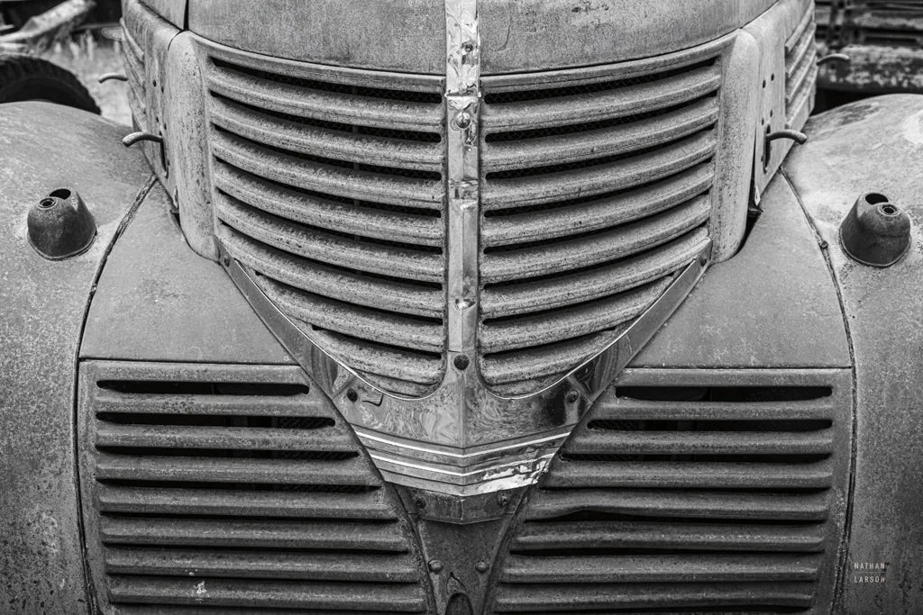 Rusted Glory I by Nathan Larson. SKU 87724i. Archival Giclee Fine art print for wall decor.