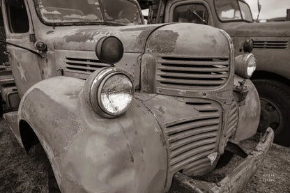 Rusted Glory II by Nathan Larson. SKU 87725i. Archival Giclee Fine art print for wall decor.