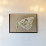 Sagebrush White by Nathan Larson. shown as a paper print in a black flame. Available as a archival giclee rolled canvas, fine art paper, or poster print. SKU 93984i.