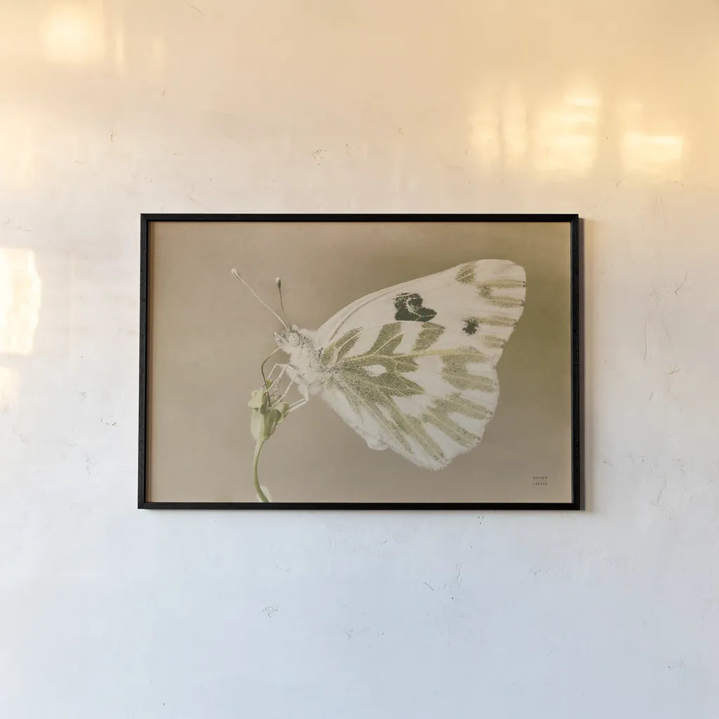 Sagebrush White by Nathan Larson. shown as a paper print in a black flame. Available as a archival giclee rolled canvas, fine art paper, or poster print. SKU 93984i.