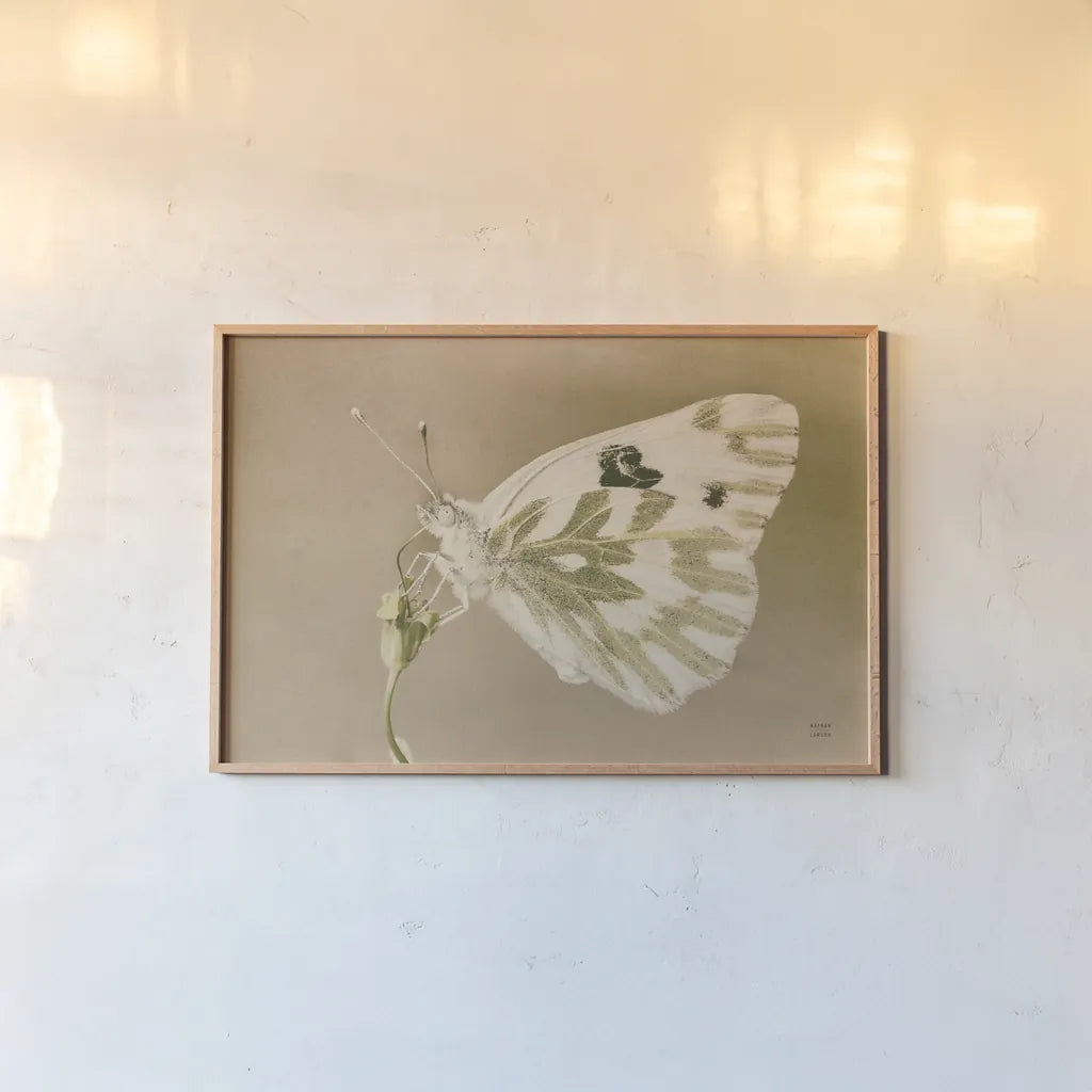 Sagebrush White by Nathan Larson. shown as a paper print in a natural frame. Available as a archival giclee rolled canvas, fine art paper, or poster print. SKU 93984i.