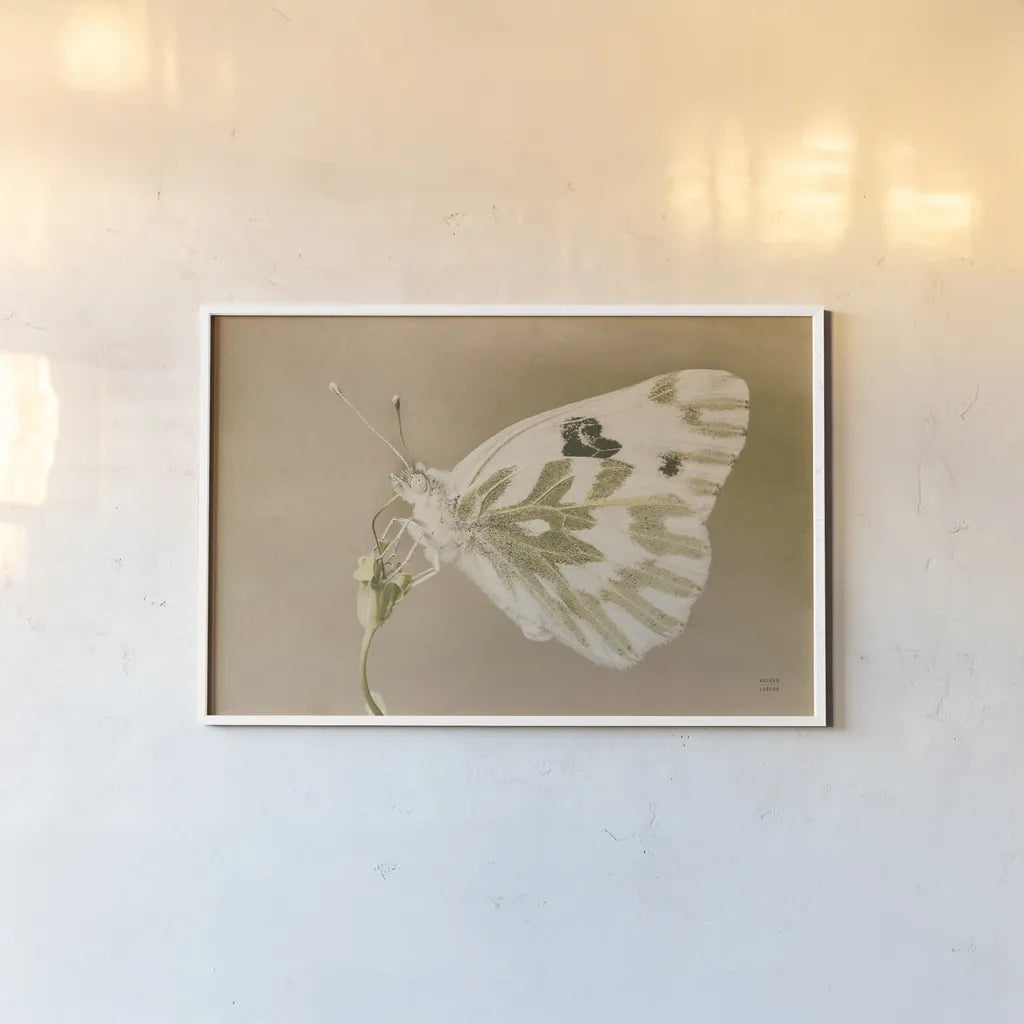 Sagebrush White by Nathan Larson. shown as a paper print in a white frame. Available as a archival giclee rolled canvas, fine art paper, or poster print. SKU 93984i.