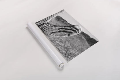 Saguaro by Nathan Larson. shown as a rolled paper print. Available as archival giclee rolled canvas, fine art paper, or poster print. SKU 72034i.