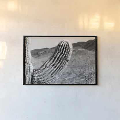 Saguaro by Nathan Larson. shown as a paper print in a black flame. Available as a archival giclee rolled canvas, fine art paper, or poster print. SKU 72034i.
