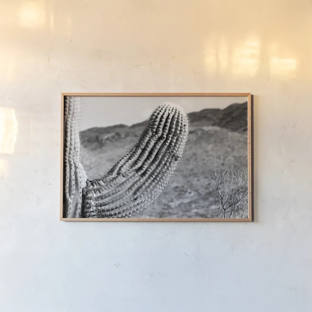 Saguaro by Nathan Larson. shown as a paper print in a natural frame. Available as a archival giclee rolled canvas, fine art paper, or poster print. SKU 72034i.
