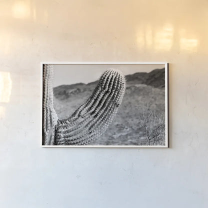 Saguaro by Nathan Larson. shown as a paper print in a white frame. Available as a archival giclee rolled canvas, fine art paper, or poster print. SKU 72034i.