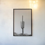 Saguaro Afternoon by Nathan Larson. shown as a paper print in a black flame. Available as a archival giclee rolled canvas, fine art paper, or poster print. SKU 90441h.