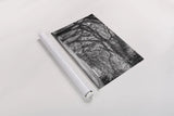 Savannah Lane by Nathan Larson. shown as a rolled paper print. Available as archival giclee rolled canvas, fine art paper, or poster print. SKU 97952i.