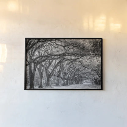 Savannah Lane by Nathan Larson. shown as a paper print in a black flame. Available as a archival giclee rolled canvas, fine art paper, or poster print. SKU 97952i.