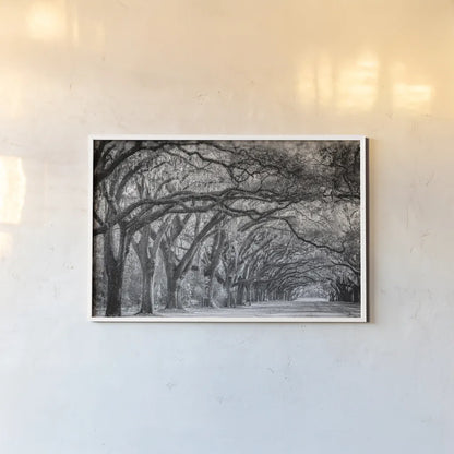 Savannah Lane by Nathan Larson. shown as a paper print in a white frame. Available as a archival giclee rolled canvas, fine art paper, or poster print. SKU 97952i.