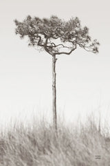 Secluded I by Nathan Larson. SKU 101663h. Archival Giclee Fine art print for wall decor.