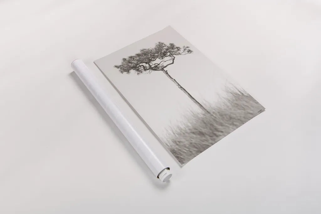 Secluded I by Nathan Larson. shown as a rolled paper print. Available as archival giclee rolled canvas, fine art paper, or poster print. SKU 101663h.