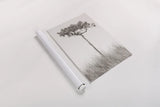 Secluded I by Nathan Larson. shown as a rolled paper print. Available as archival giclee rolled canvas, fine art paper, or poster print. SKU 101663h.